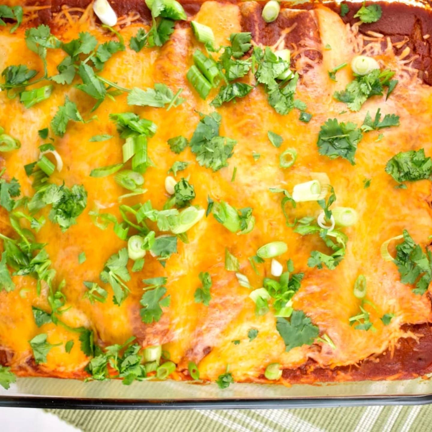 Chicken and bean enchiladas in a casserole dish with melted cheese on top.