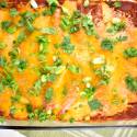 Chicken and bean enchiladas in a casserole dish with melted cheese on top.