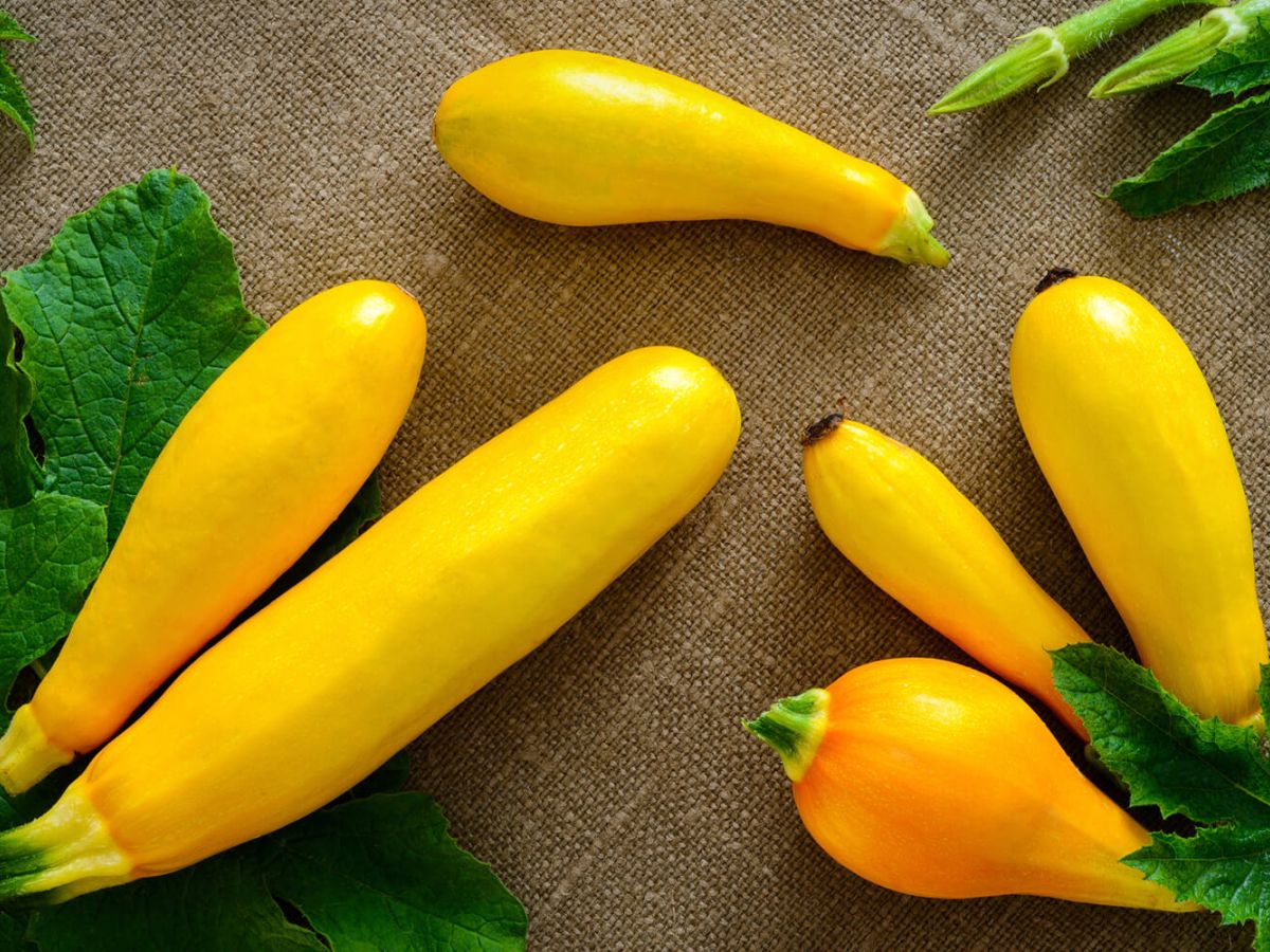 Yellow squash on a brown surface